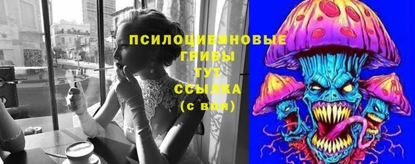 эйфоретик Баксан